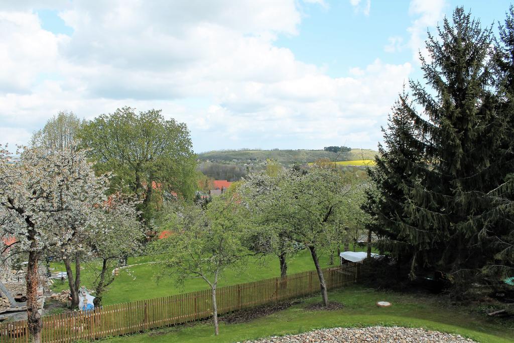 Apartment Le Petit Palais - *