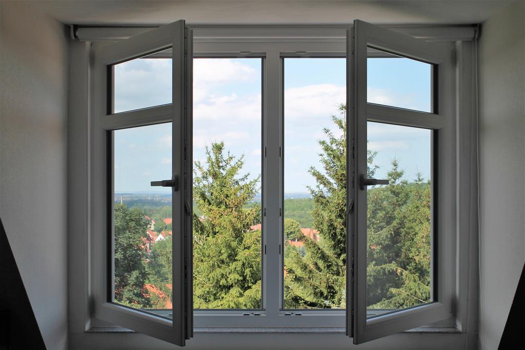Apartment Le Petit Palais - *